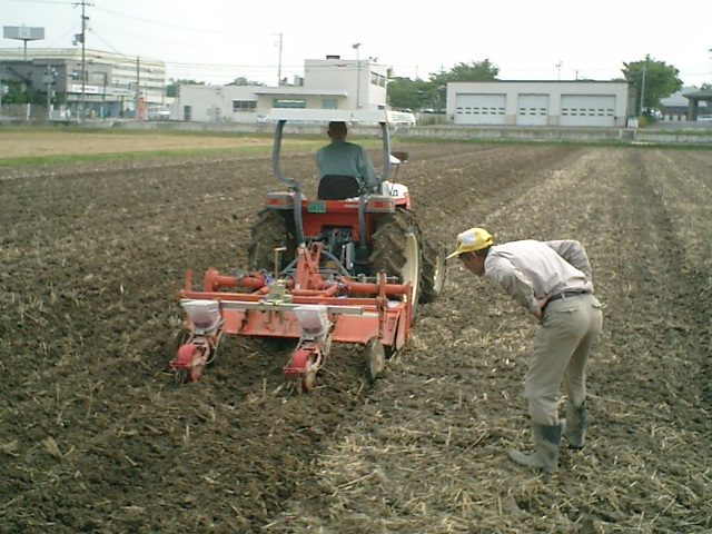 大豆の播種作業